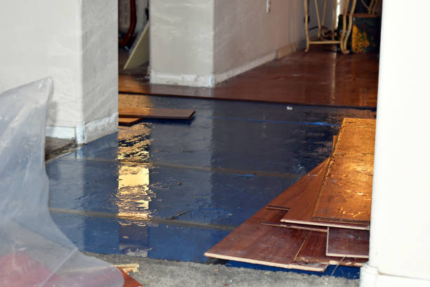 Professional Burst Pipe Cleanup technician working in Laguna Beach, FL